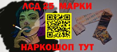 наркотики Кингисепп