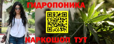 кокс Кинель