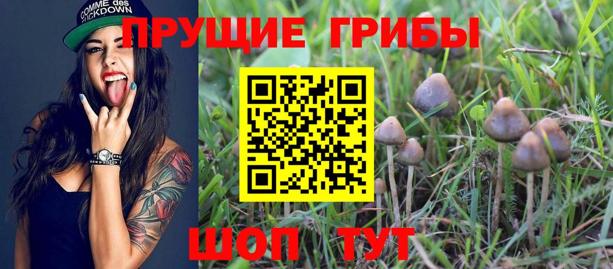 Галлюциногенные грибы MAGIC MUSHROOMS Королёв