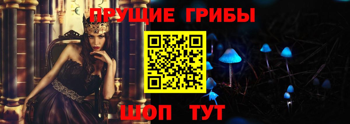 Королёв  Галлюциногенные грибы Psilocybine cubensis  Вход с VPN 